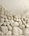 Shingle